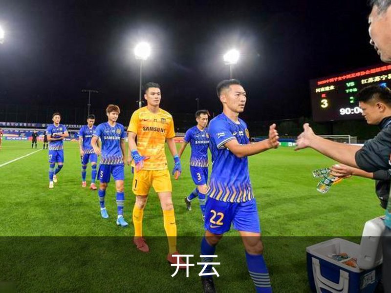 开云介绍